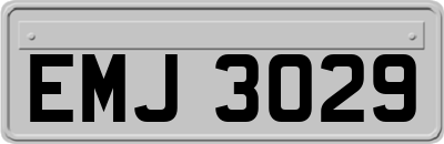 EMJ3029