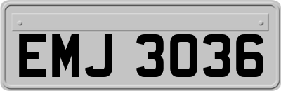 EMJ3036