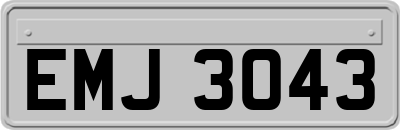 EMJ3043