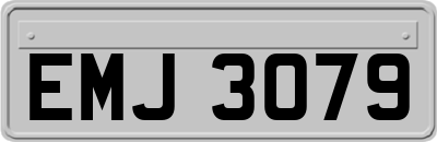 EMJ3079