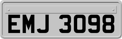 EMJ3098