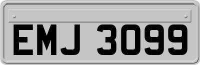 EMJ3099