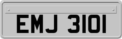 EMJ3101