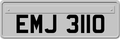 EMJ3110