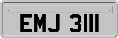 EMJ3111