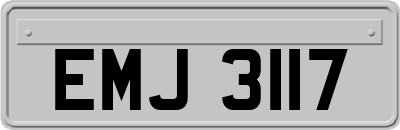 EMJ3117
