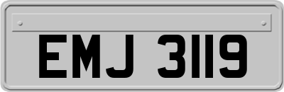 EMJ3119
