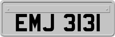 EMJ3131