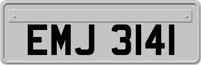 EMJ3141
