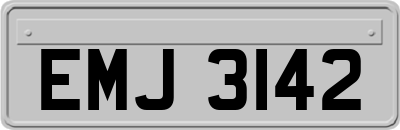EMJ3142