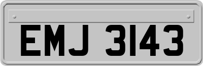 EMJ3143