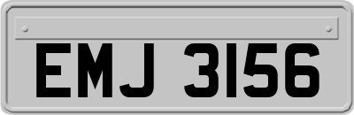 EMJ3156