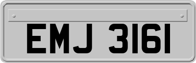 EMJ3161