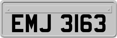 EMJ3163