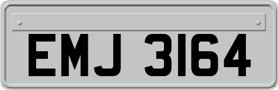 EMJ3164