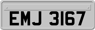EMJ3167