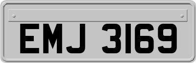 EMJ3169