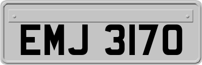 EMJ3170