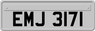 EMJ3171