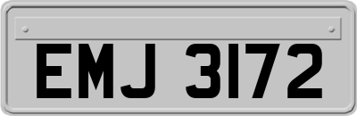EMJ3172