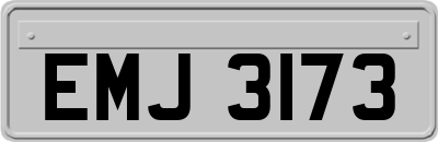 EMJ3173