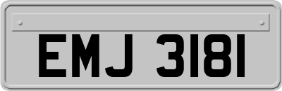 EMJ3181