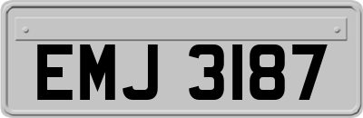 EMJ3187