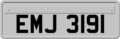 EMJ3191