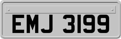 EMJ3199