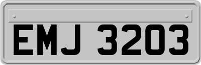EMJ3203