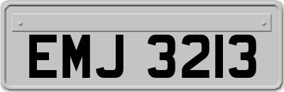 EMJ3213