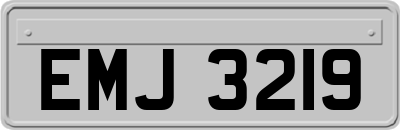 EMJ3219