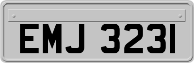 EMJ3231
