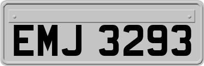 EMJ3293