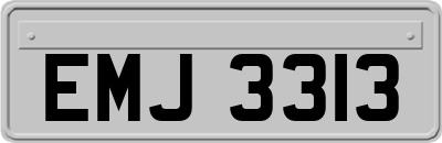 EMJ3313