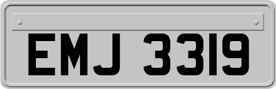 EMJ3319