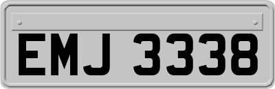 EMJ3338