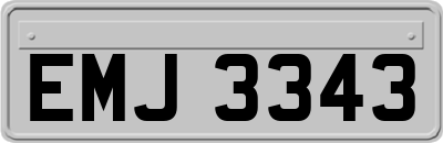 EMJ3343
