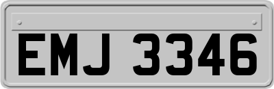 EMJ3346