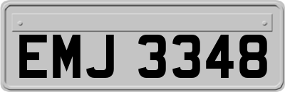 EMJ3348