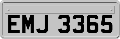 EMJ3365