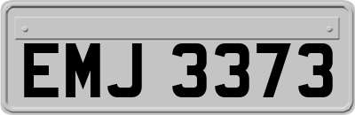 EMJ3373