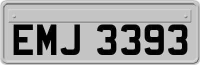 EMJ3393