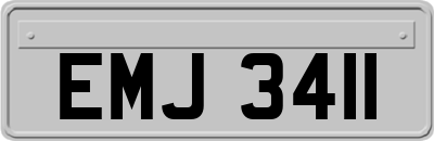 EMJ3411