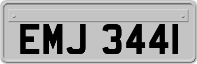 EMJ3441