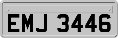 EMJ3446