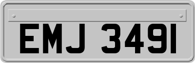 EMJ3491