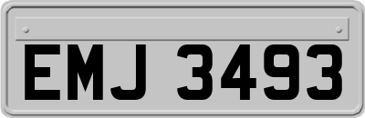 EMJ3493