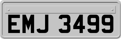 EMJ3499