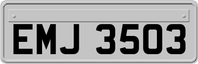 EMJ3503